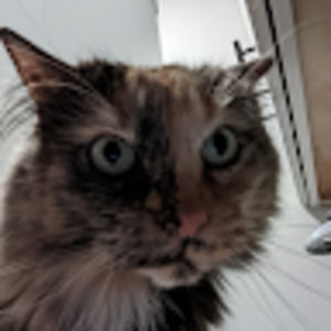 Meet your Posher, Noah